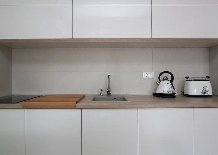 New Magnetic, Parking 5 Evra Dan 베오그라드